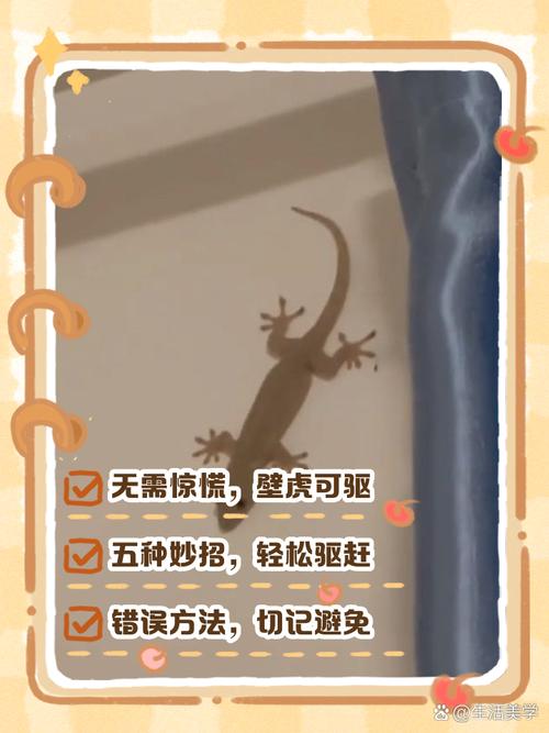 灭壁虎最有效的方法？灭壁虎最有效的方法是什么？-第5张图片-屿企百科网