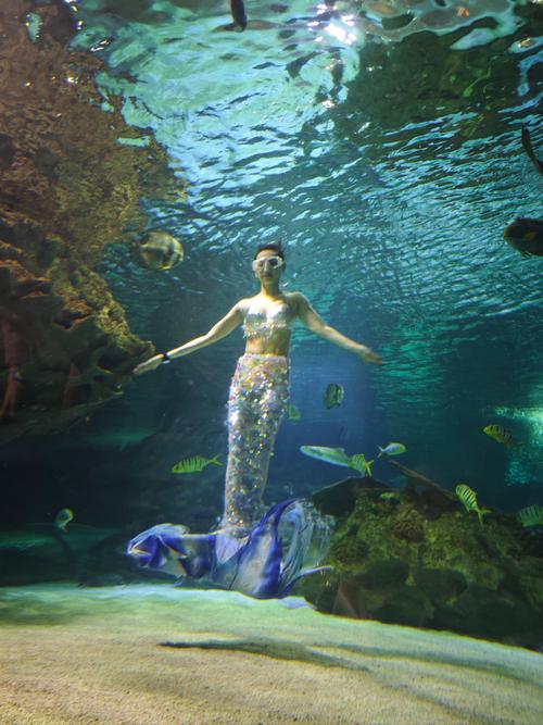 富国海底世界表演时间？富国海底世界几点关门？-第3张图片-屿企百科网