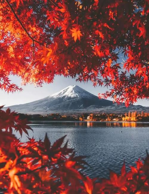 日本旅游景点图片高清？日本旅游景点图片大全？-第2张图片-屿企百科网