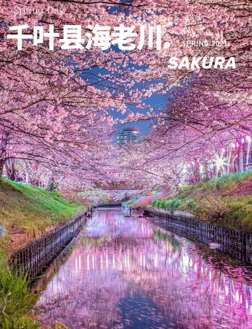 日本旅游景点图片高清？日本旅游景点图片大全？-第6张图片-屿企百科网