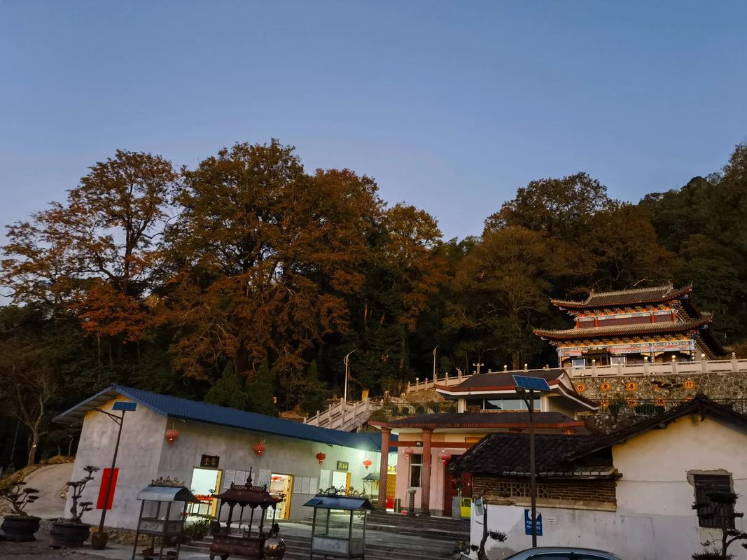 上杭国家森林公园？2021年哪天领证有纪念意义？-第1张图片-屿企百科网