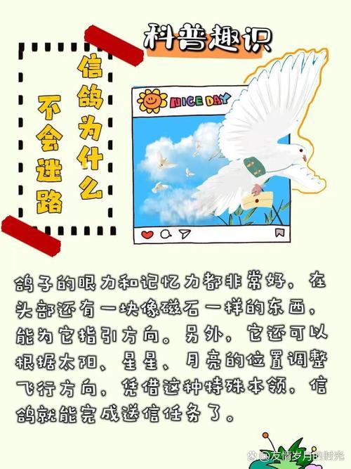 古人能飞鸽传书主要是因为信鸽有什么能力，古代飞鸽传书是怎么做到的的简单介绍-第4张图片-屿企百科网