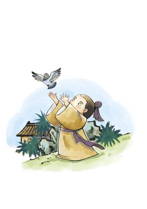 古人能飞鸽传书主要是因为信鸽有什么能力，古代飞鸽传书是怎么做到的的简单介绍-第6张图片-屿企百科网