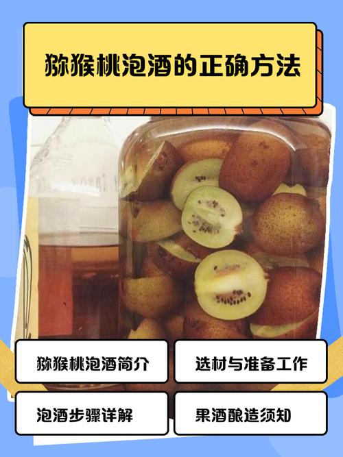 猕猴桃怎么做酒？猕猴桃怎么做酒做法教程？-第1张图片-屿企百科网