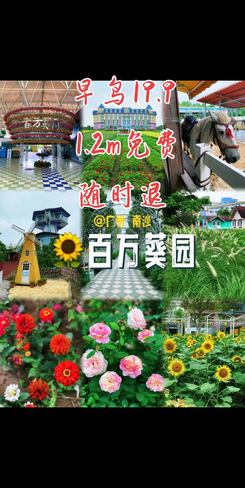 广州百万葵园门票多少钱，广州百万葵园要门票吗-第1张图片-屿企百科网