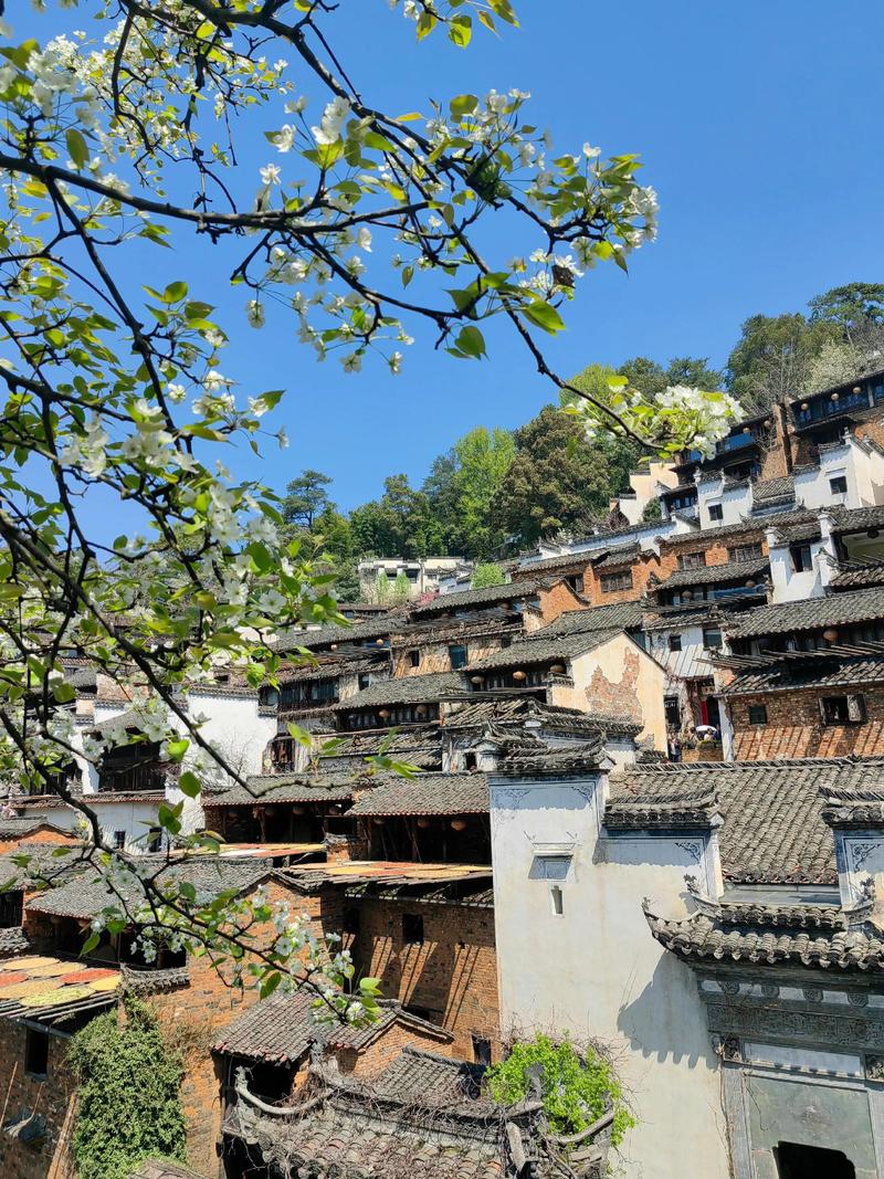 婺源景区比较好玩的地方，婺源景区推荐-第5张图片-屿企百科网