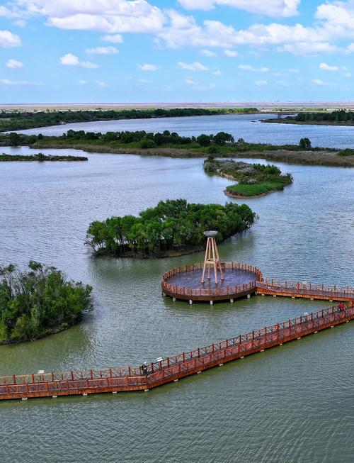 山东东营旅游景点？山东必玩前十景点？-第1张图片-屿企百科网
