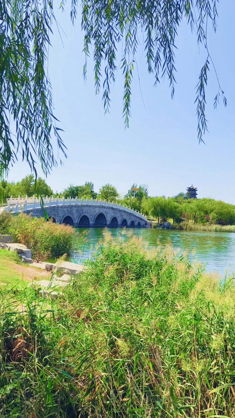 山东东营旅游景点？山东必玩前十景点？-第8张图片-屿企百科网