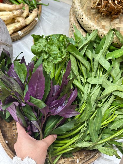 广西11月份气候怎么样，广西11月份冷吗-第6张图片-屿企百科网