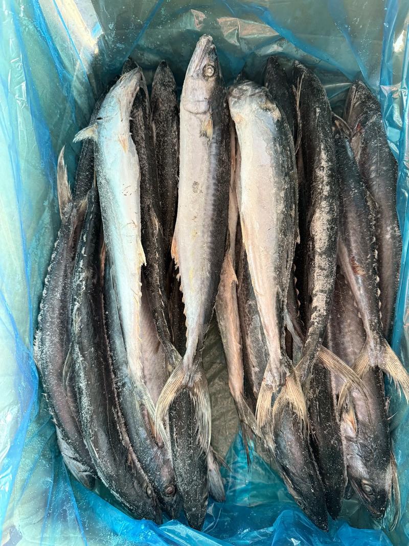 马鲛鱼怎么做好吃？请问马鲛鱼怎么做好吃？-第4张图片-屿企百科网