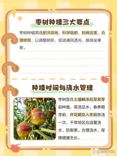 枣适合生长在哪种气候，枣树适应什么气候-第5张图片-屿企百科网