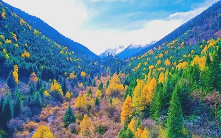 鹧鸪山气候怎么样，鹧鸪山气温？-第2张图片-屿企百科网