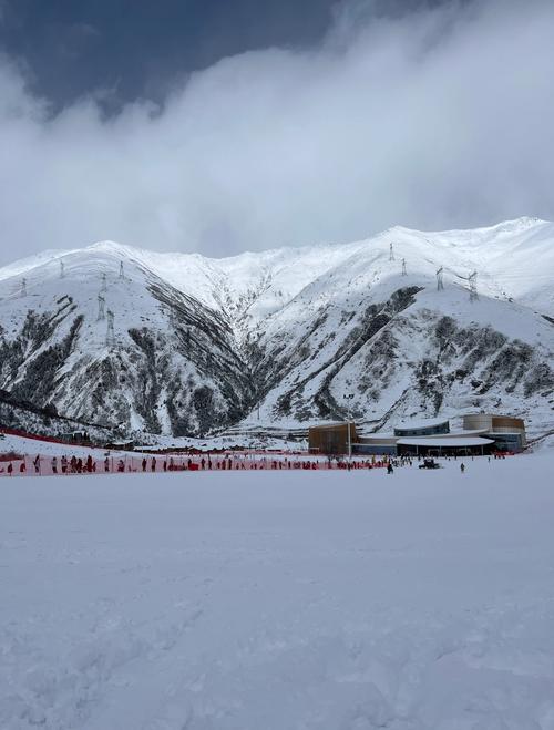 鹧鸪山气候怎么样，鹧鸪山气温？-第6张图片-屿企百科网