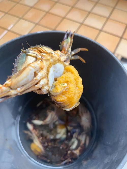 母螃蟹尾部一大坨是什么？母螃蟹后面带着一坨东西是什么？