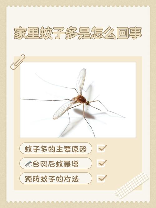 家里蚊子多是什么原因造成的?？家里蚊子多是怎么回事?？-第5张图片-屿企百科网