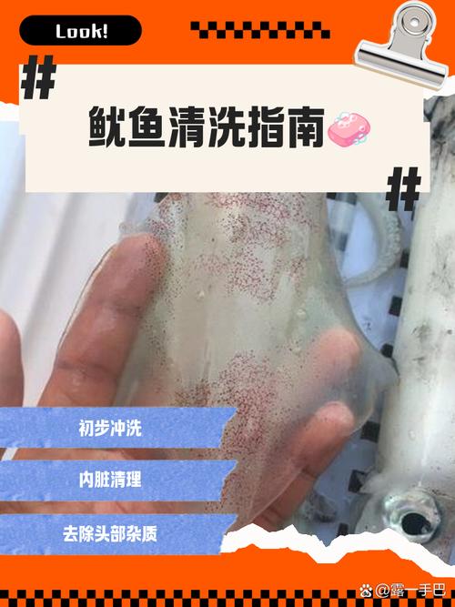 鱿鱼清洗方法？鱿鱼咋清洗干净？-第2张图片-屿企百科网