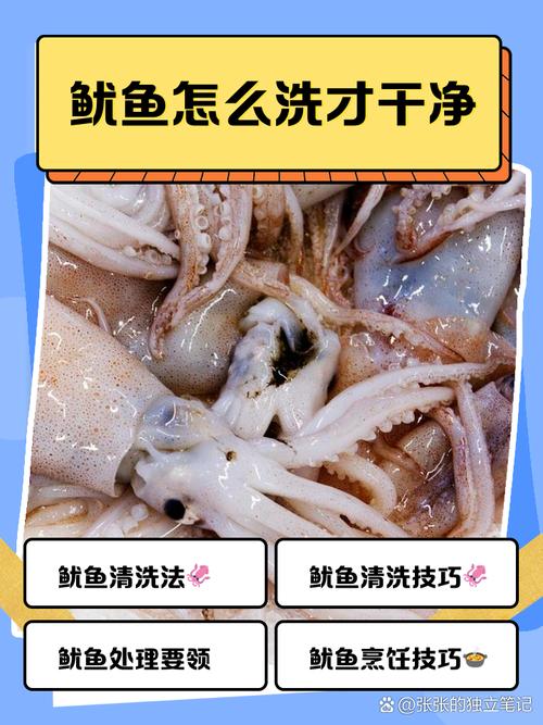 鱿鱼清洗方法？鱿鱼咋清洗干净？-第6张图片-屿企百科网