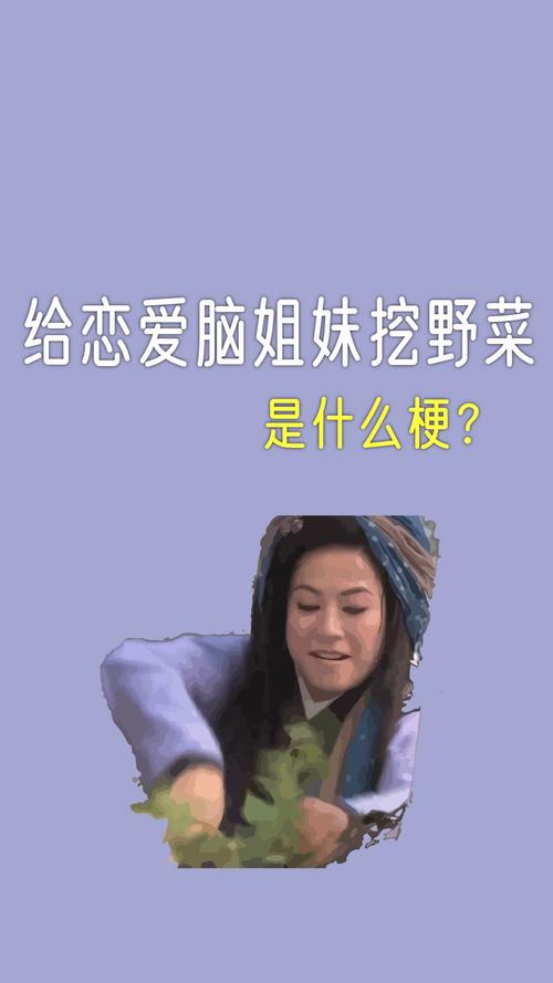 关于给恋爱脑的姐妹挖野菜是什么梗，最近比较热门的梗有哪些的信息-第3张图片-屿企百科网