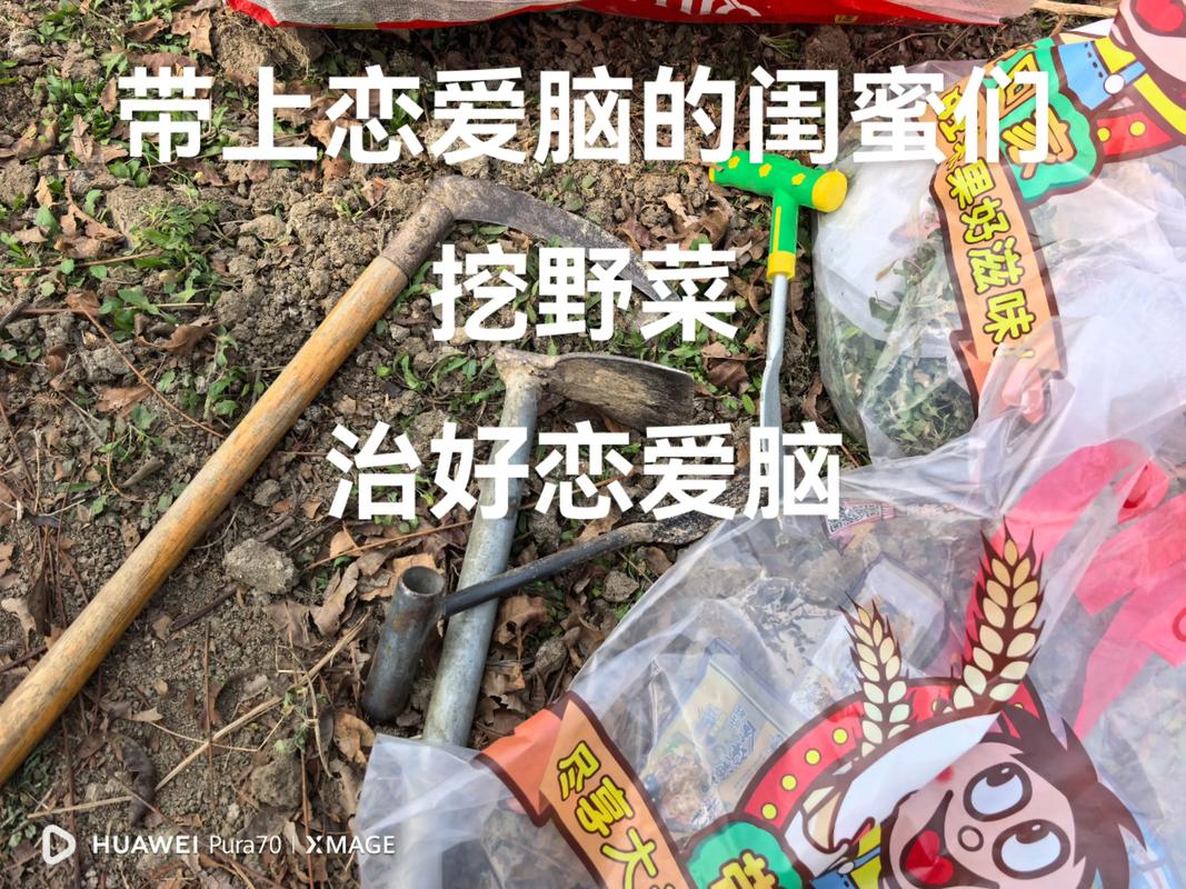 关于给恋爱脑的姐妹挖野菜是什么梗，最近比较热门的梗有哪些的信息-第4张图片-屿企百科网