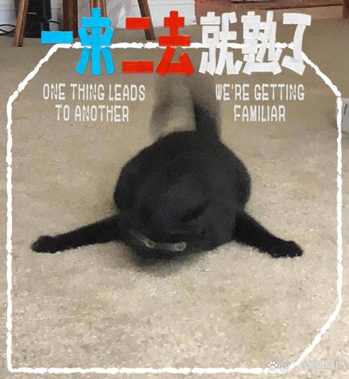 猛踹瘸子那条好腿是什么梗，专踢瘸子那条好腿类似网名-第2张图片-屿企百科网