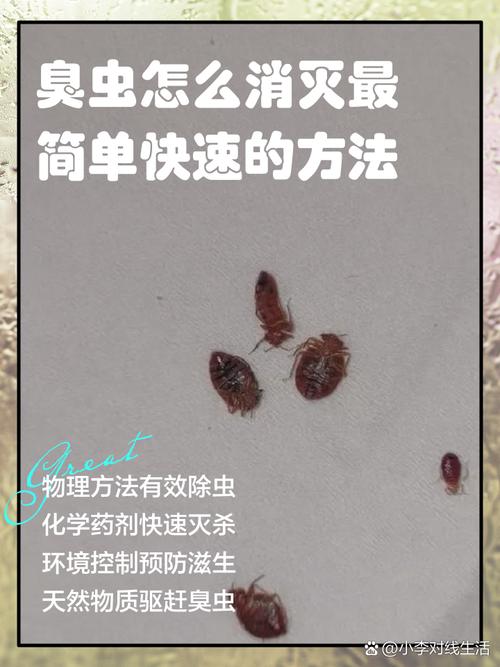 臭虫怎么消灭最简单快速的方法，消灭臭虫用什么药比较好？-第1张图片-屿企百科网