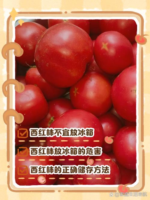 西红柿保鲜六种基本方法，西红柿保鲜的方法-第4张图片-屿企百科网