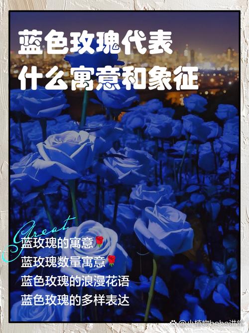 蓝色的美好寓意，蓝色的象征意义是什么，蓝色的寓意与象征？-第5张图片-屿企百科网