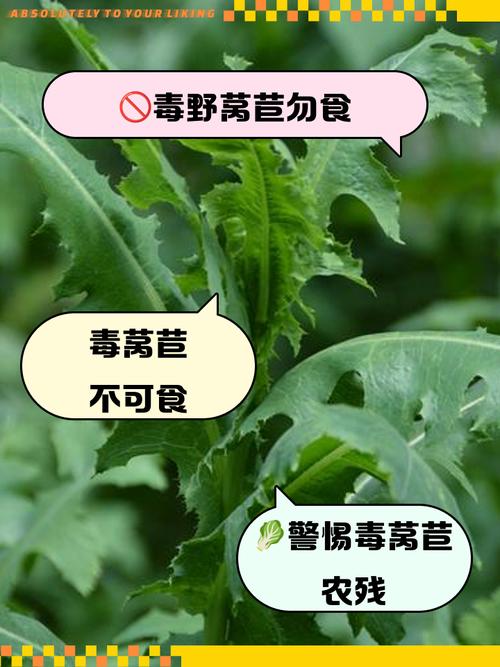 我吃了200颗苦杏仁能死吗，苦杏仁为什么后下，苦杏仁吃100颗会死吗-第2张图片-屿企百科网