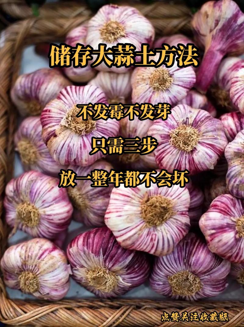 大蒜的保存方法？大蒜怎么存放不发芽？