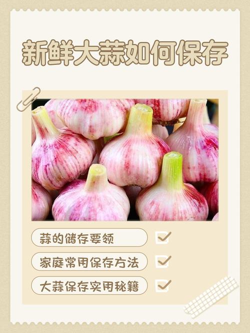 大蒜的保存方法？大蒜怎么存放不发芽？-第3张图片-屿企百科网