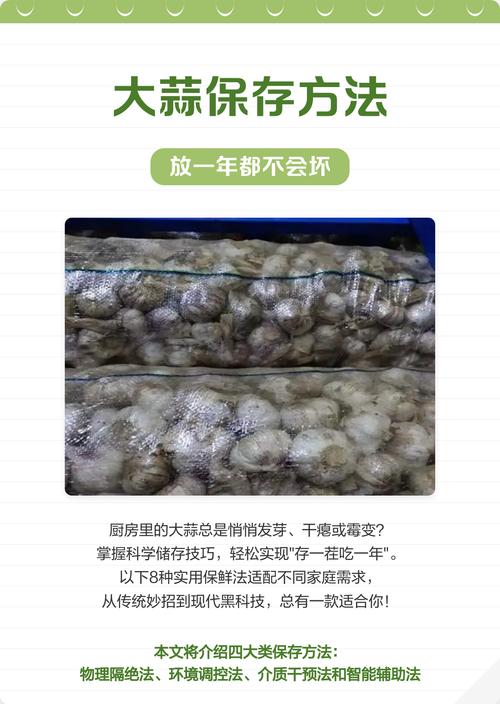 大蒜的保存方法？大蒜怎么存放不发芽？-第4张图片-屿企百科网