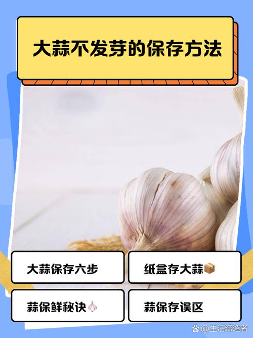 大蒜的保存方法？大蒜怎么存放不发芽？-第6张图片-屿企百科网