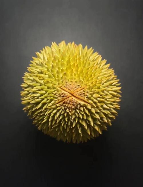 最贵的榴莲是什么品种，最贵的五大榴莲品种排名榜，最贵的榴莲叫什么名？-第2张图片-屿企百科网