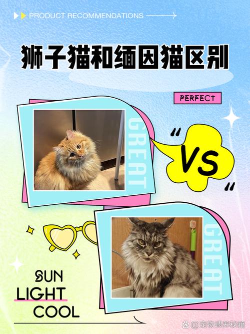 为什么说狮子属于犬科，为什么会有人说狮子是犬科动物-第2张图片-屿企百科网