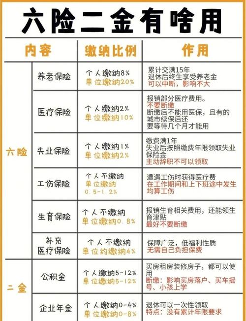 六保内容是什么？六保的主要内容是什么?？-第5张图片-屿企百科网