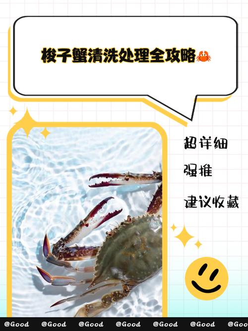 螃蟹怎么清洗最干净?螃蟹的清洗方法，请问螃蟹怎么清洗？-第1张图片-屿企百科网