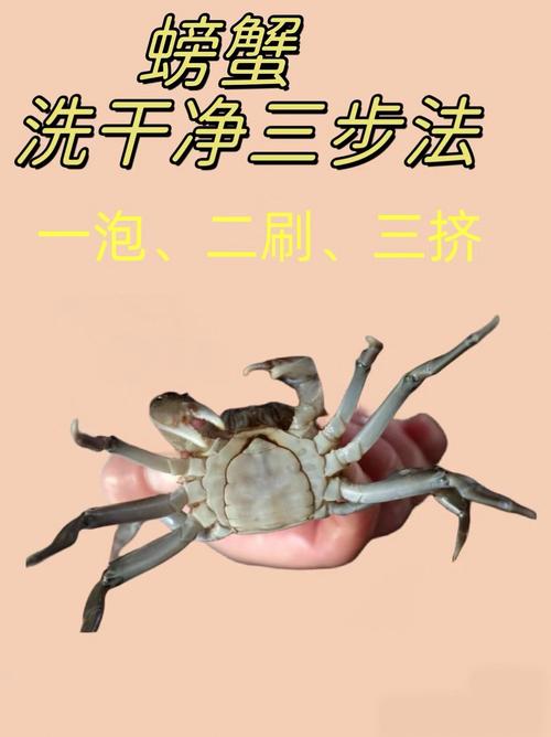螃蟹怎么清洗最干净?螃蟹的清洗方法，请问螃蟹怎么清洗？-第2张图片-屿企百科网
