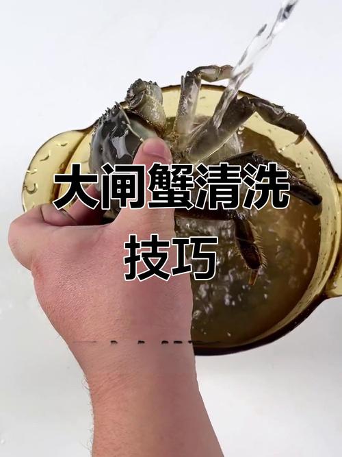 螃蟹怎么清洗最干净?螃蟹的清洗方法，请问螃蟹怎么清洗？-第6张图片-屿企百科网