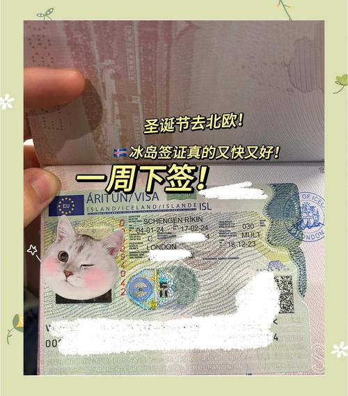 冰岛为什么不让随便去，冰岛为什么不让随便去了-第5张图片-屿企百科网