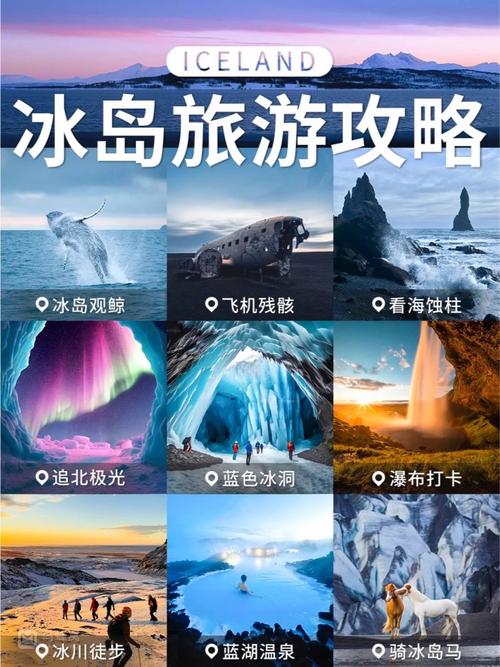冰岛为什么不让随便去，冰岛为什么不让随便去了-第7张图片-屿企百科网