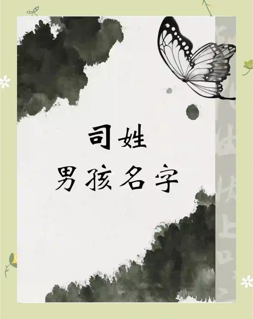 司字取名的寓意是什么？司字取名男孩有寓意三个字？-第7张图片-屿企百科网