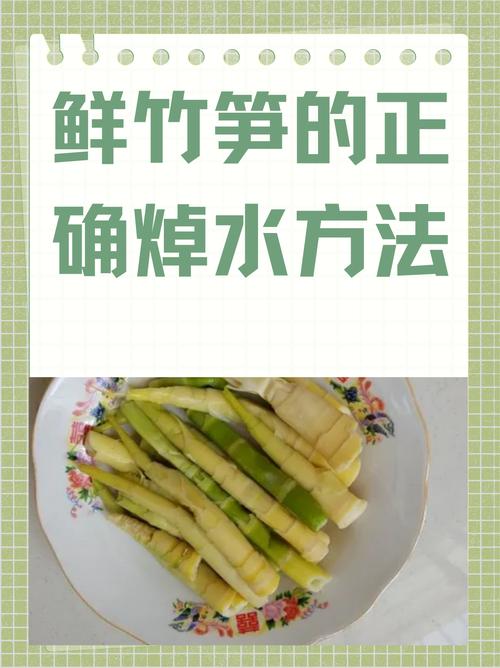 竹笋的正确焯水方法？竹笋的正确焯水方法多少分钟？-第5张图片-屿企百科网
