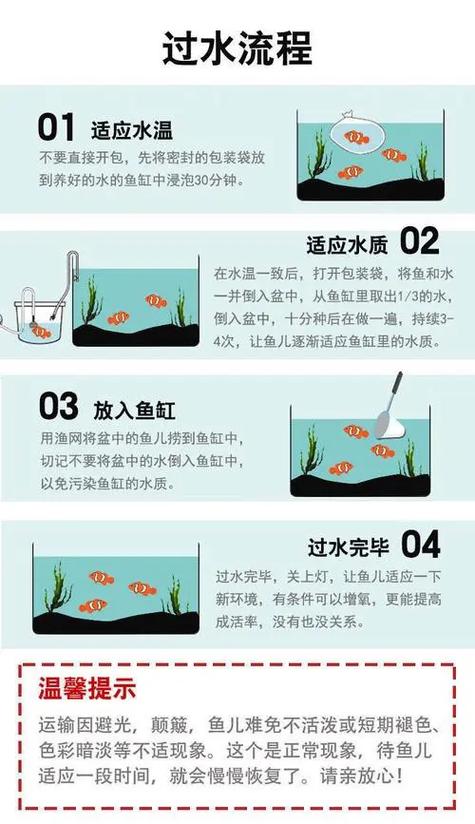为什么新鱼入缸老鱼会死，为什么新鱼入缸老鱼会死掉？-第2张图片-屿企百科网