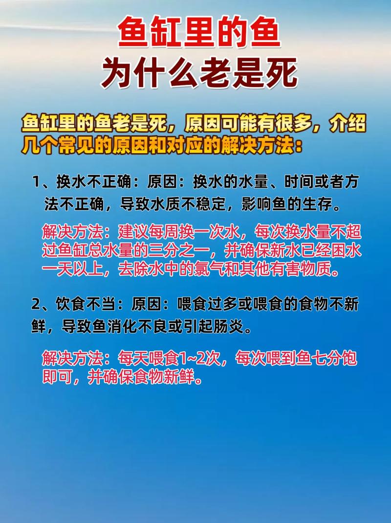 为什么新鱼入缸老鱼会死，为什么新鱼入缸老鱼会死掉？-第6张图片-屿企百科网