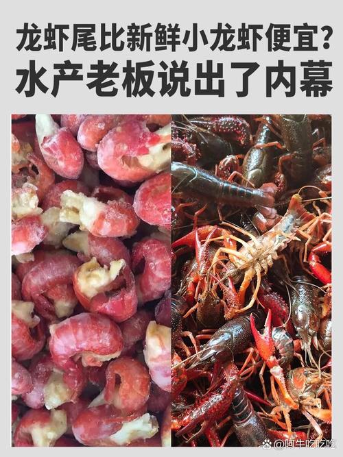 虾尾为什么比龙虾便宜，虾尾为什么那么贵-第4张图片-屿企百科网