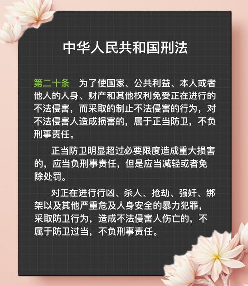 人身安全指的是什么,人身安全指的是什么意思-第4张图片-屿企百科网 人身安全指的是什么,人身安全指的是什么意思-第4张图片-屿企百科网