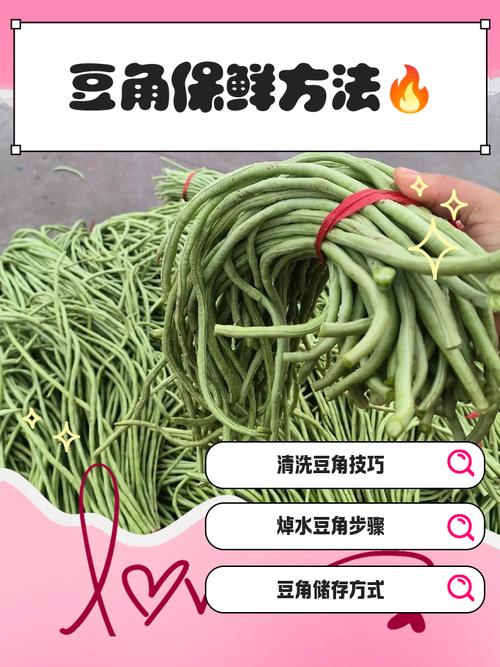 豇豆怎么冷冻储存方法，豇豆能冻吗怎样冻豇豆
