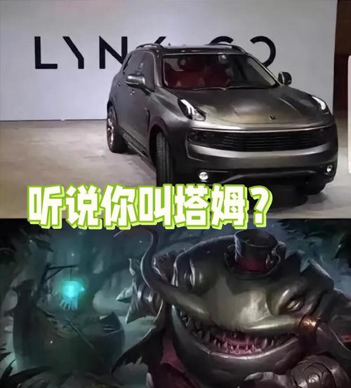 塔姆是什么意思，塔姆是什么位置？-第8张图片-屿企百科网