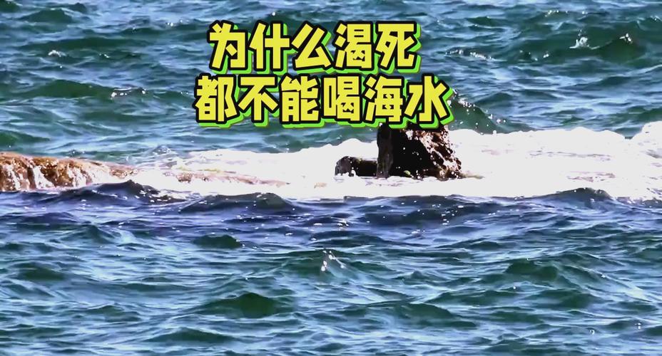 海水为什么不能喝?,为何海水不能喝?-第4张图片-屿企百科网 海水为什么不能喝?,为何海水不能喝?-第4张图片-屿企百科网
