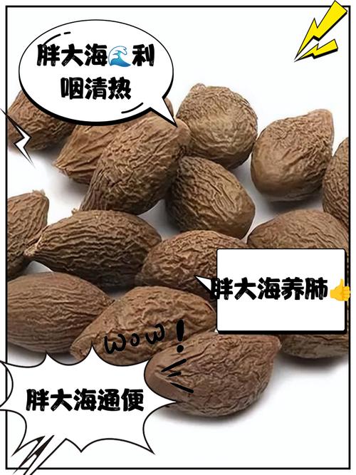 海水为什么不能喝?,为何海水不能喝?-第7张图片-屿企百科网 海水为什么不能喝?,为何海水不能喝?-第7张图片-屿企百科网